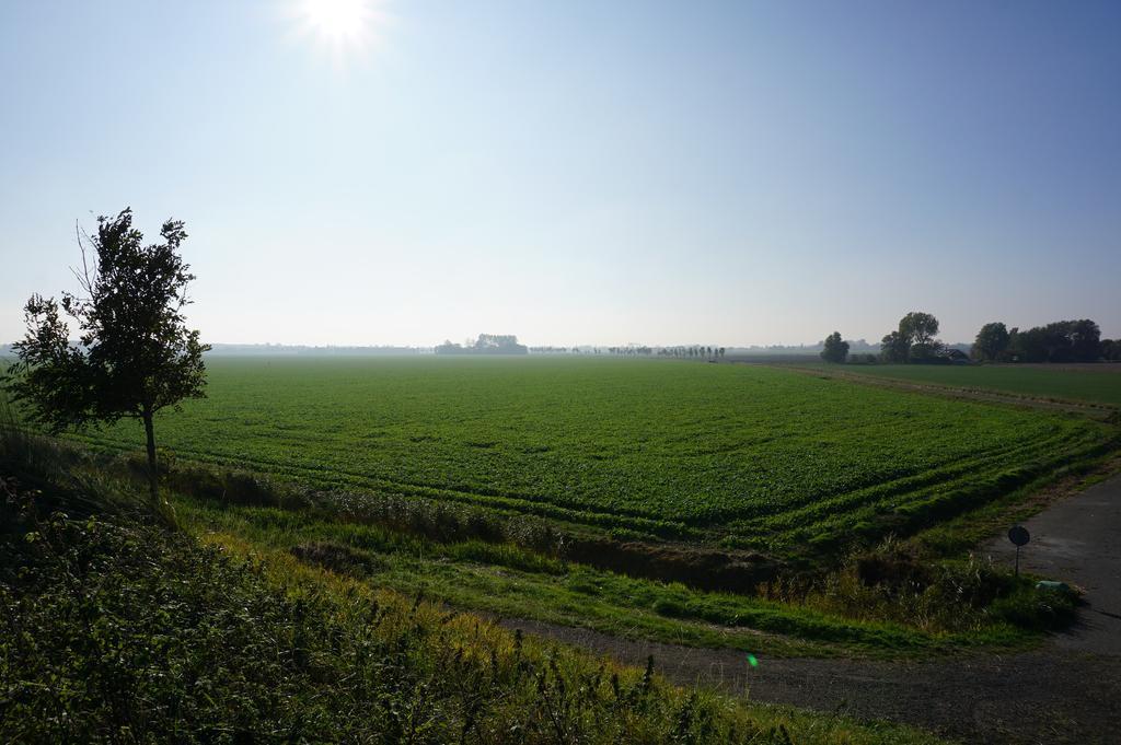 Herberg De Ring Dreischor Exterior foto